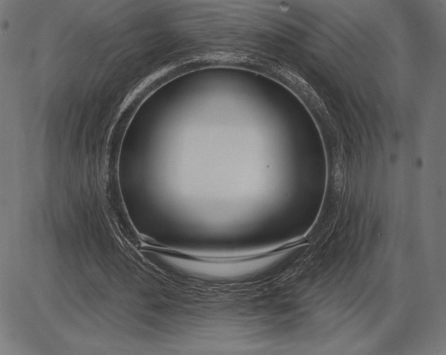 X0000086100484200704091356