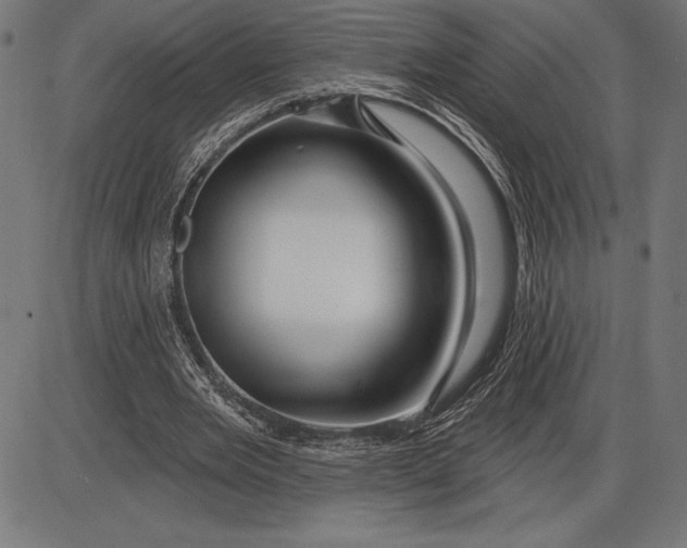 X0000086100485200704091356