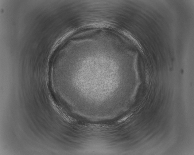 X0000086100486200704091356