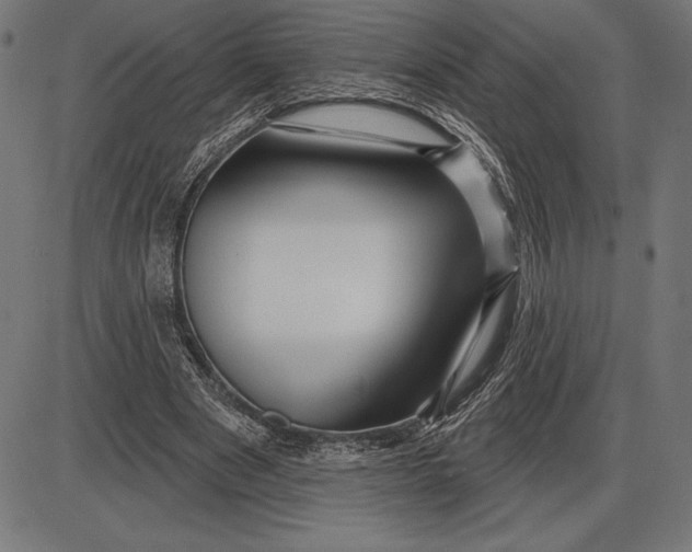 X0000086100489200704091356
