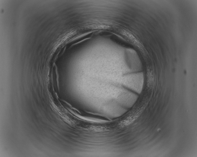 X0000086100490200704091356