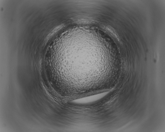 X0000086100491200704091356