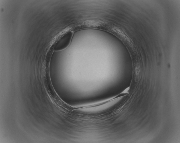 X0000086100492200704091356
