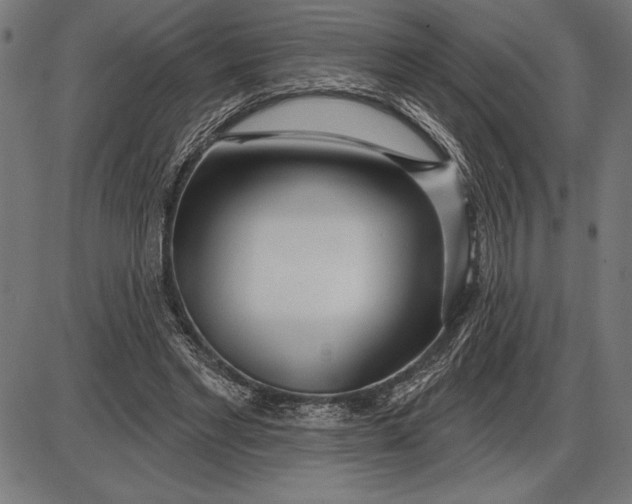 X0000086100493200704091356