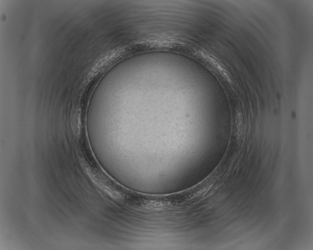 X0000086100494200704091356