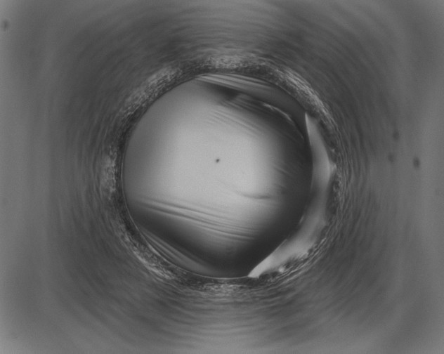 X0000086100497200704091356