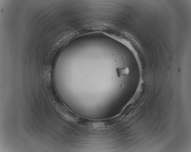 X0000086100501200704091356