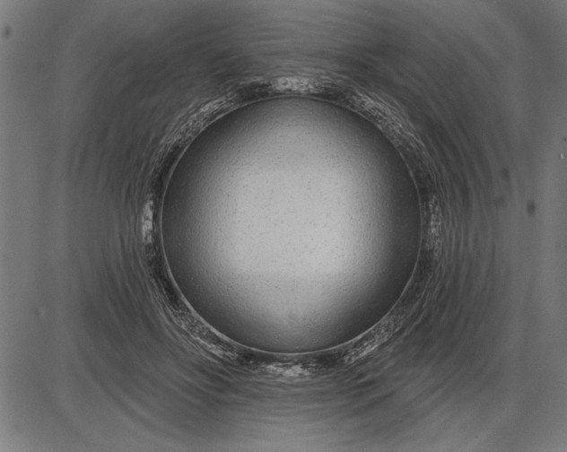 X0000086100502200704091356