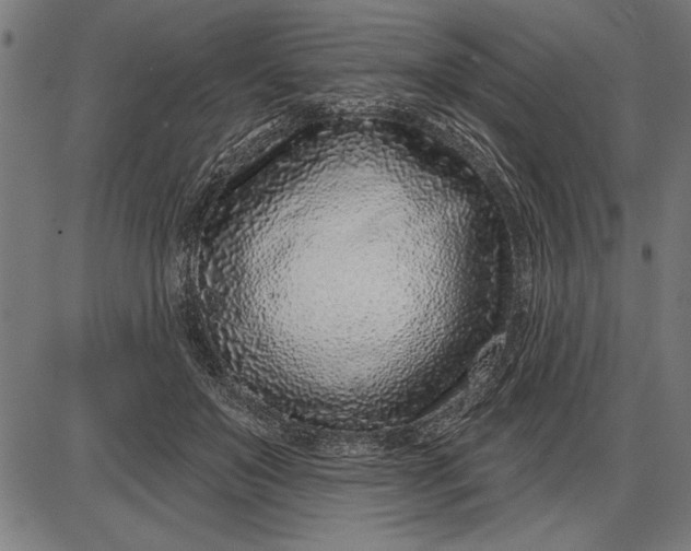 X0000086100503200704091356