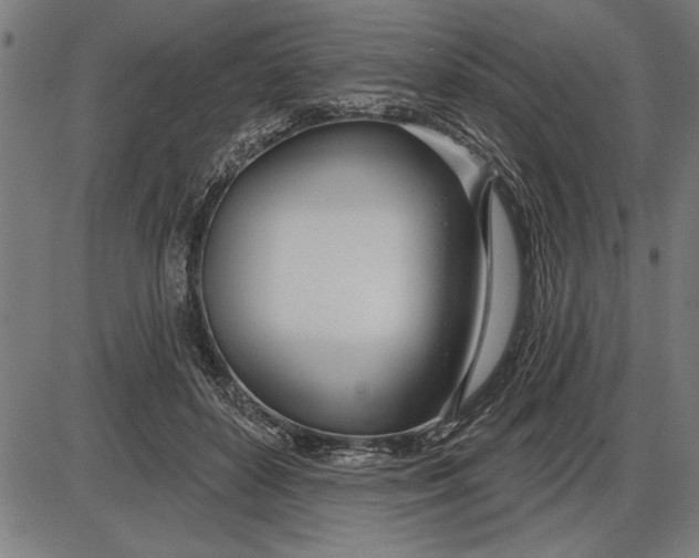 X0000086100504200704091356