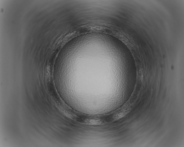 X0000086100506200704091356