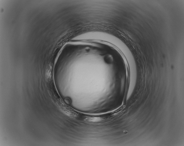X0000086100507200704091356