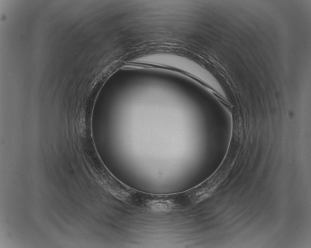X0000086100508200704091356