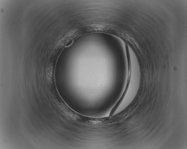 X0000086100509200704091356
