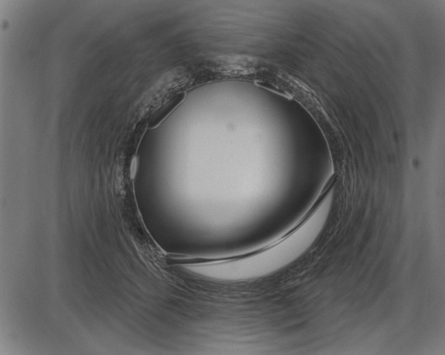 X0000086100512200704091356