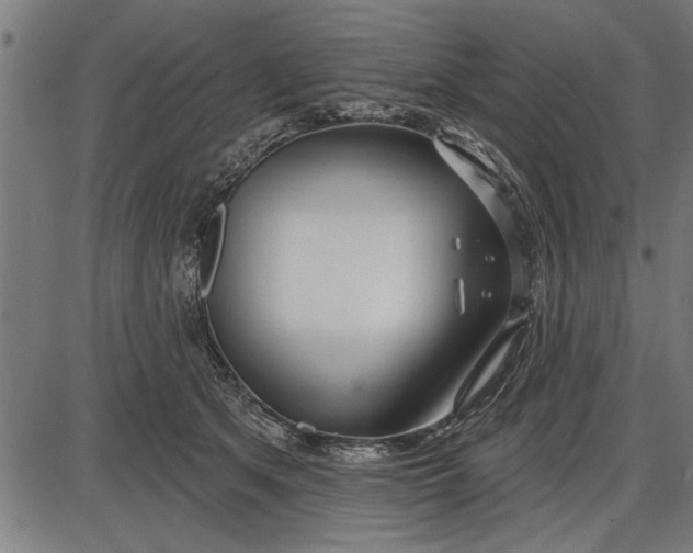 X0000086100513200704091356