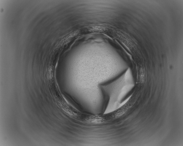 X0000086100514200704091356