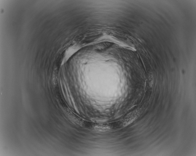 X0000086100515200704091356