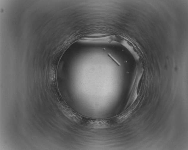 X0000086100517200704091356