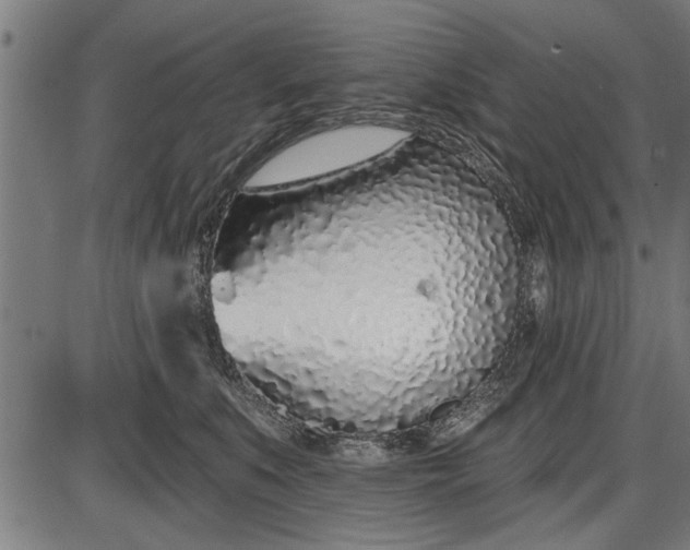 X0000086100519200704091355