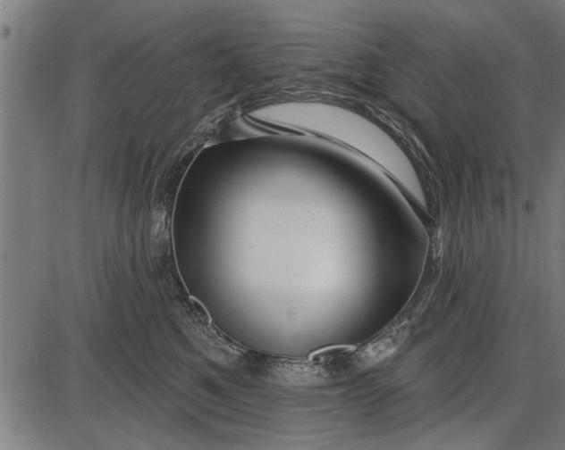 X0000086100521200704091355