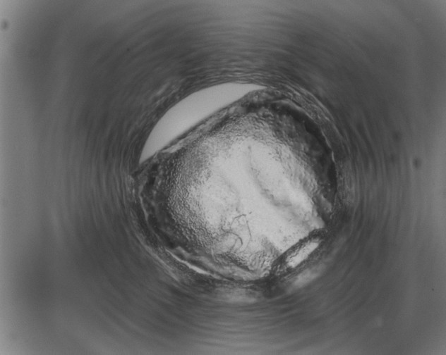 X0000086100523200704091355
