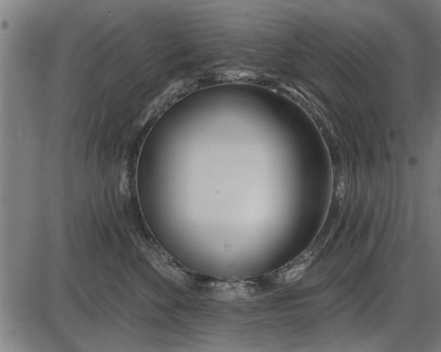 X0000086100524200704091355