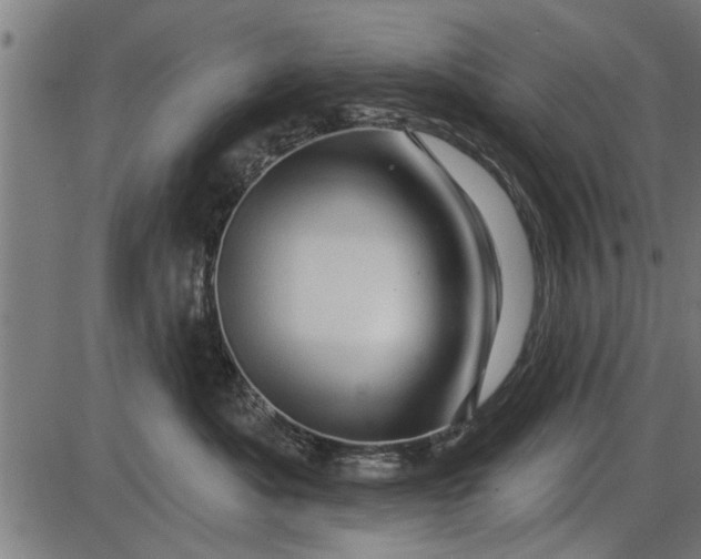 X0000086100525200704091355