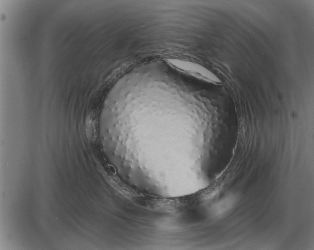 X0000086100527200704091355