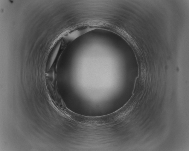 X0000086100530200704091355