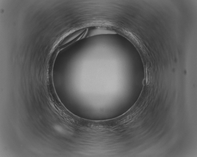 X0000086100531200704091355