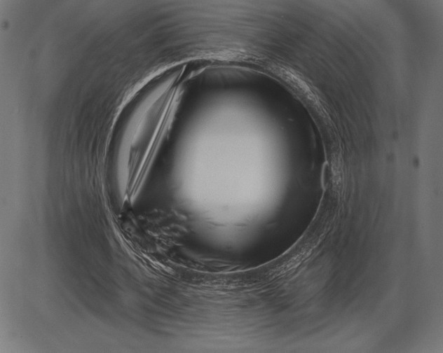 X0000086100532200704091355