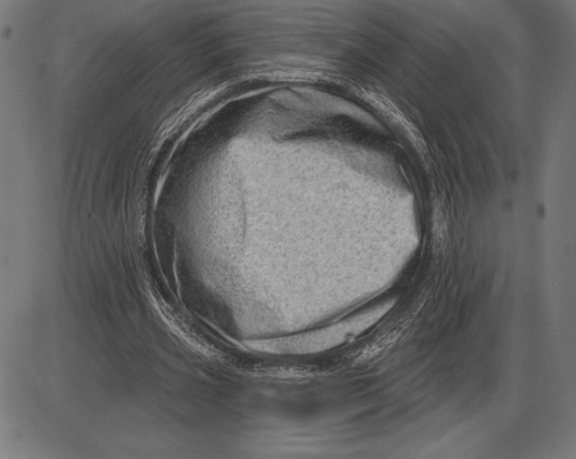 X0000086100533200704091355