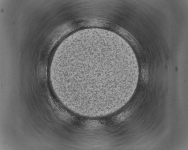 X0000086100534200704091355