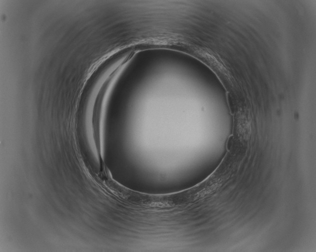 X0000086100536200704091355