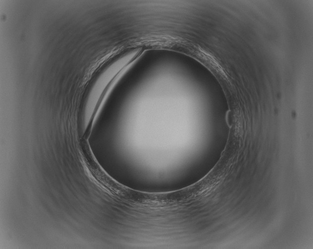 X0000086100538200704091355