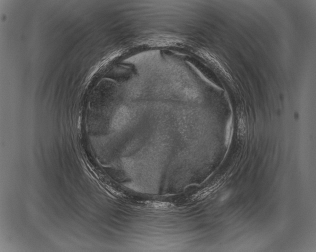 X0000086100539200704091355