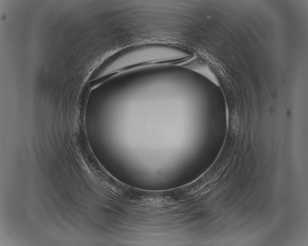 X0000086100540200704091355