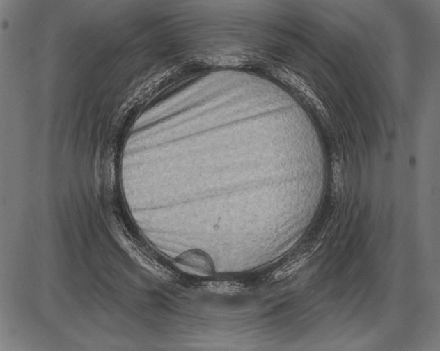 X0000086100541200704091355