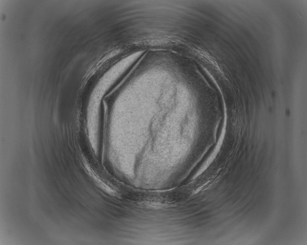 X0000086100542200704091355