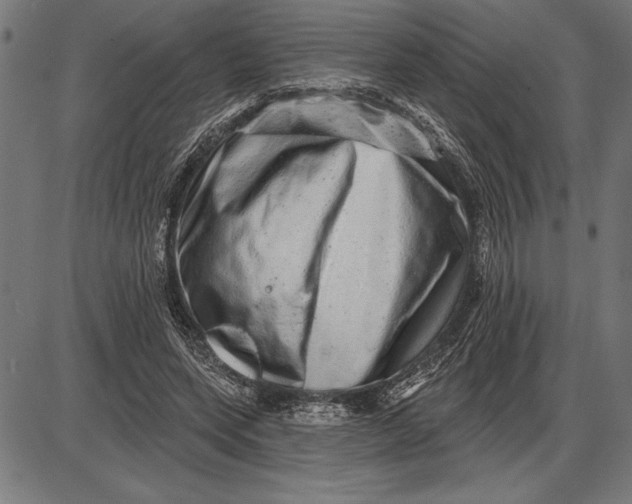 X0000086100543200704091355