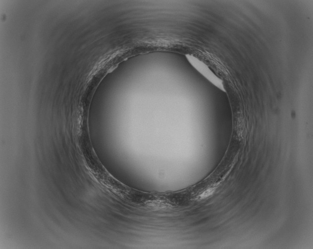 X0000086100544200704091355