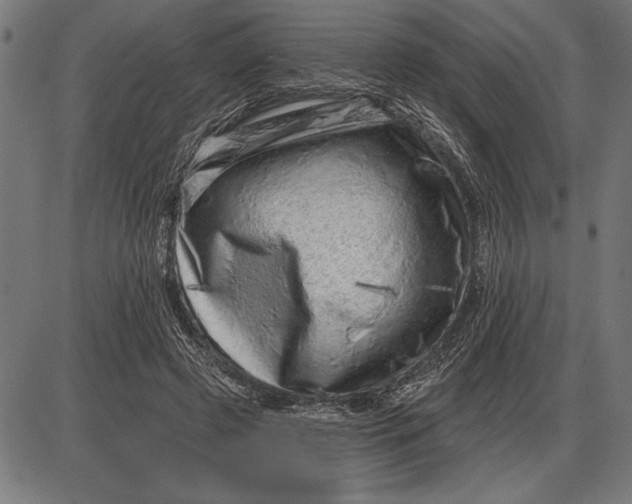 X0000086100545200704091355