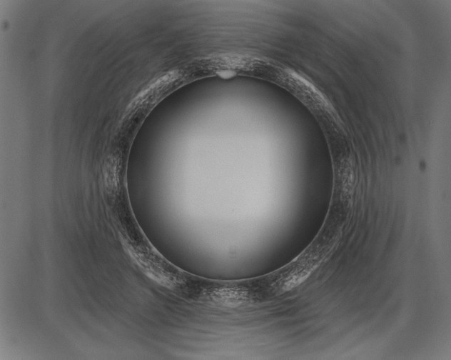 X0000086100546200704091355