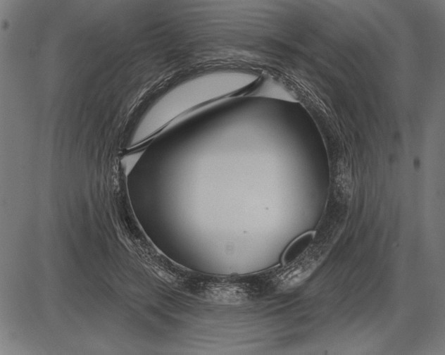 X0000086100547200704091355