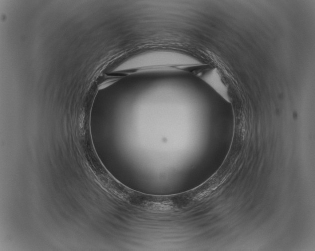 X0000086100548200704091355