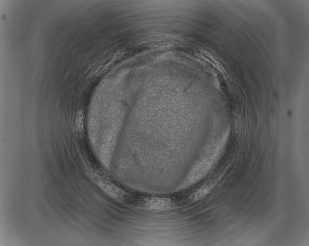 X0000086100549200704091355