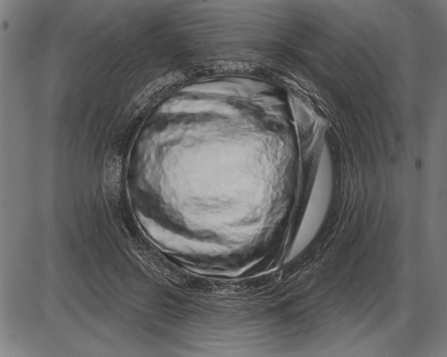 X0000086100550200704091355