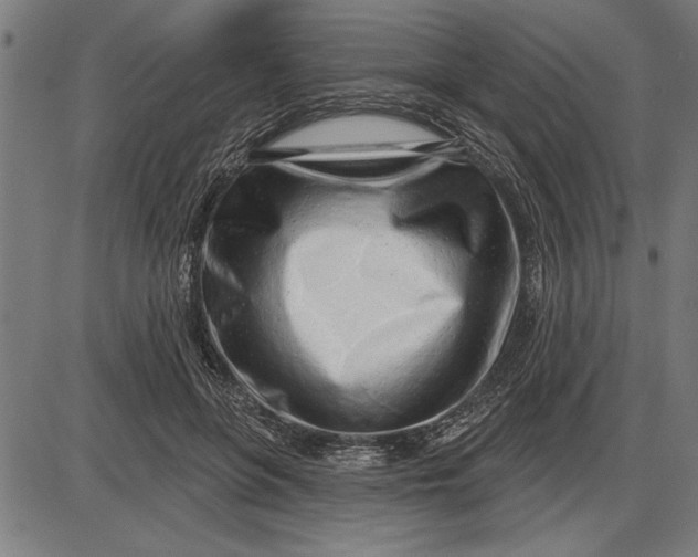 X0000086100551200704091355