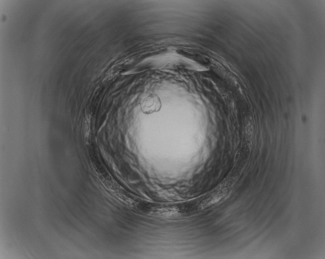 X0000086100554200704091355